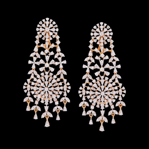 Earring 24